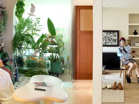 Bày đúng vài món này trong nhà: Vượng khí kéo tới, tiền tự chảy vào túi