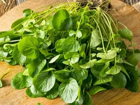 Việt Nam sở hữu loại rau "chống ung thư tốt nhất thế giới", tốt cho sức khỏe tim mạch và xương khớp