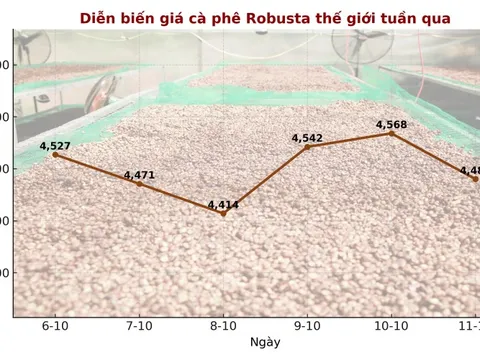 Giá cà phê hôm nay 11-10: Chốt tuần giảm, xuất khẩu cà phê toàn cầu ra sao?
