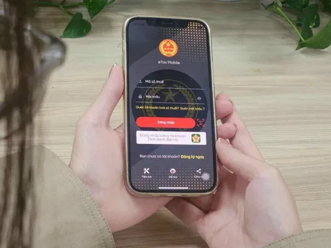 Tạm dừng các ứng dụng thuế điện tử trong 2 ngày