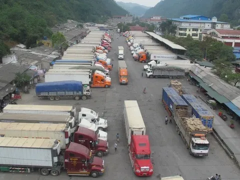 Doanh nghiệp vận tải lo ùn tắc hàng hóa do thiếu lái xe hạng FC