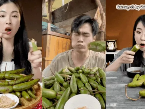 Dạo này MXH thi nhau mukbang loại quả dại Tây Bắc: Vị lạ, mùi thơm, ăn với chẳm chéo thì "hết sẩy"