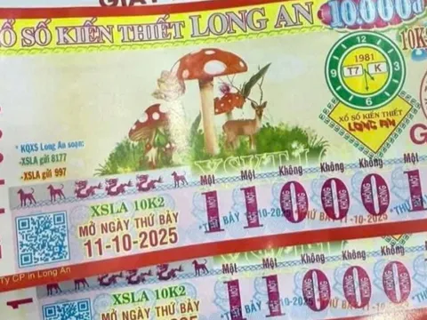 Xổ số miền Nam: Dãy số “quái” vé số Long An trúng giải đặc biệt tại phường Ngã Bảy