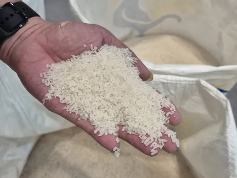 Quốc gia nhập khẩu gạo số 1 thế giới lại có động thái mới
