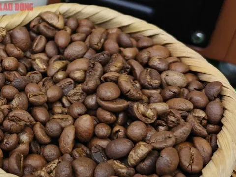 Giá cà phê hôm nay 15-10: Arabica tăng dữ dội