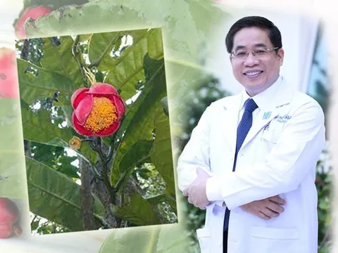 "Kho báu" mới được phát hiện tại Gia Lai mang tên của một vị bác sĩ nổi tiếng, đó là ai?