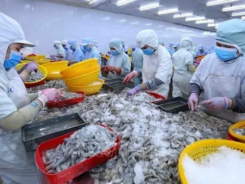 Tổng Giám đốc một công ty thủy sản lớn xin nghỉ việc vì "cảm thấy năng lực không còn đáp ứng được"