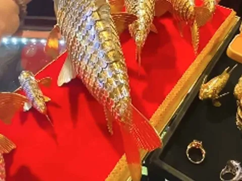 Mang số vàng giữ suốt 18 năm đi kiểm tra, người đàn ông sốc nặng khi biết giá trị