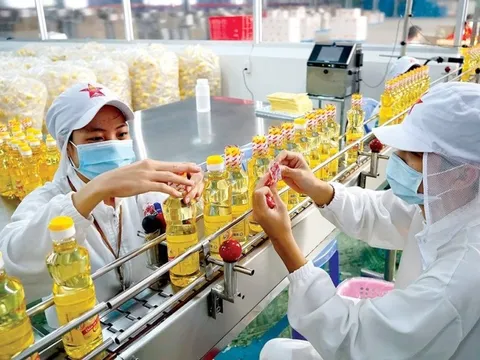 Vocarimex chốt hủy tư cách đại chúng, Kido thâu tóm nốt cổ phần