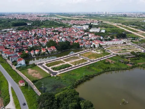Đề xuất người bỏ cọc bị cấm đấu giá đất đến 5 năm