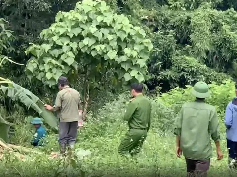 Người đàn ông chết ở bìa rừng, cạnh dấu chân nghi là voi