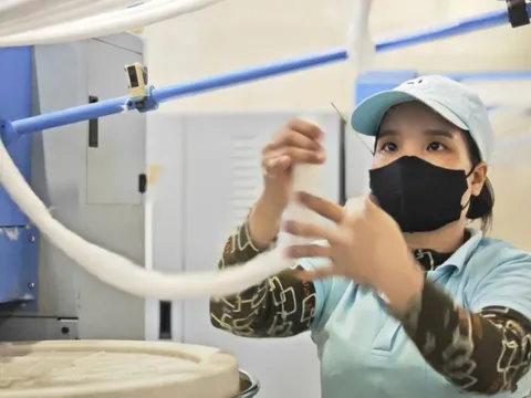 Khởi nghiệp xanh gặp nhiều thách thức