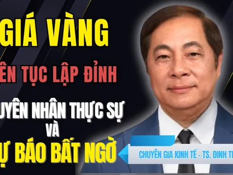 Chuyên gia phân tích những biến động dữ dội của giá vàng miếng và dự báo mới nhất