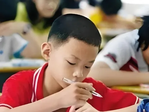 Trẻ có IQ vượt trội thường bộc lộ 4 đặc điểm sau ngay từ những năm đầu tiểu học!