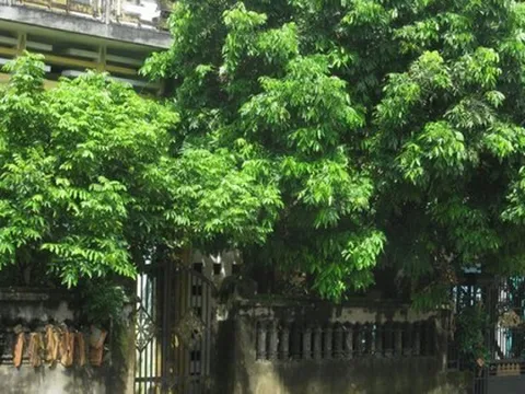 3 chi tiết trong nhà tưởng vô hại nhưng khiến tài vận cứ trôi đi