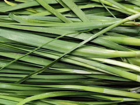 5 loại rau dễ "ngậm thuốc trừ sâu" nhất chợ, dân buôn né xa