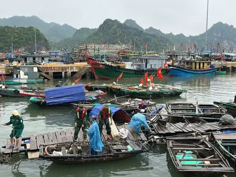 Kích hoạt biện pháp ứng phó với bão số 12