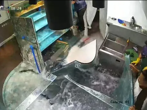 Khoảnh khắc kinh hoàng bể cá khổng lồ trong nhà hàng bất ngờ vỡ vụn