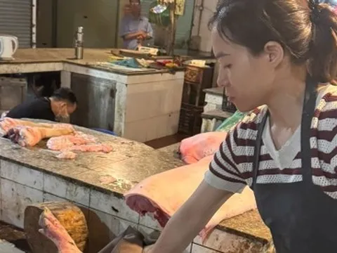 Kỹ sư thú y tiếp tay bán hơn 60 tấn lợn bệnh cho người dân làm thực phẩm