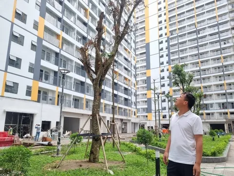 Bố đơn thân có 2 con đẻ sắp được ưu tiên mua nhà ở xã hội