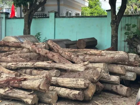 Làm rõ vụ phá rừng phòng hộ môi trường ở Đắk Lắk