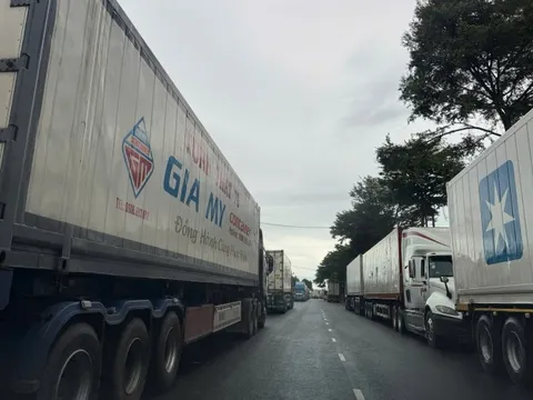 Hàng ngàn container sầu riêng ùn ứ, Hiệp hội Sầu riêng Đắk Lắk kiến nghị "khẩn"