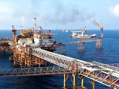 Petrovietnam muốn thoái hết vốn ở 2 công ty