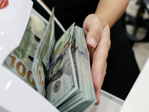 Ngân hàng Nhà nước: Có đối tượng mua ngoại tệ tiền mặt để trục lợi