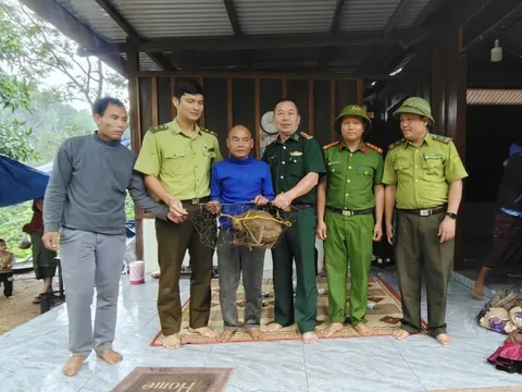 Gặp con vật lạ giữa rừng, ông lão không ngờ là loài quý hiếm cần bảo vệ