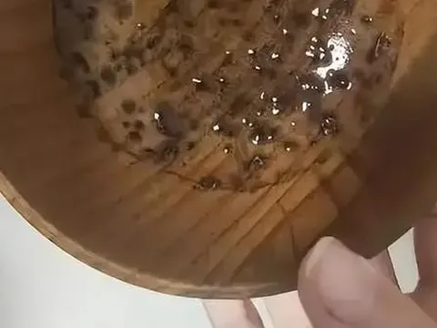 3 loại bát huỷ hoại sức khoẻ vì chứa "ổ độc tố"