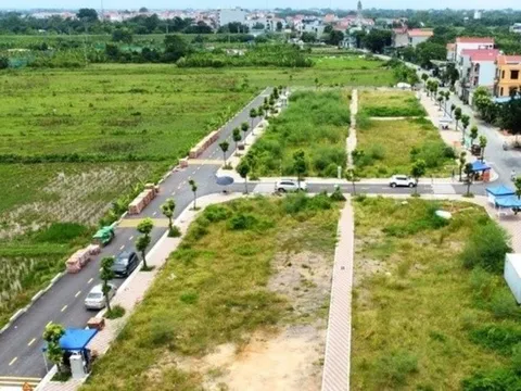 Thị trường đất đấu giá hạ nhiệt sau cơn sốt điên cuồng hơn 1 năm trước