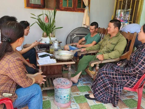 Truy thu tiền thuê đất của hàng trăm công nhân, lãnh đạo Công ty cà phê 719 nói gì?