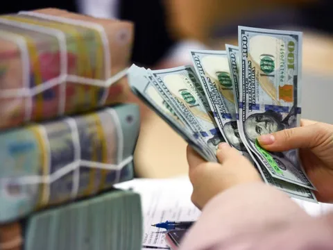 Giá USD tự do biến động
