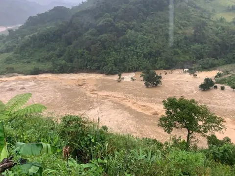 Sau tiếng động lớn, hàng ngàn khối đất đá từ 1 quả đồi ở Quảng Ngãi "rơi như mưa"