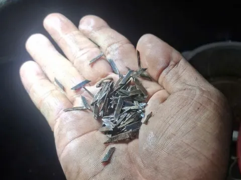 TP HCM: Đinh hình thoi xuất hiện trên đường Đỗ Mười