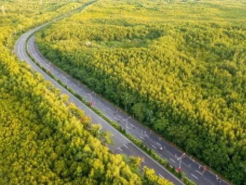 TP.HCM ủng hộ VinSpeed làm tuyến metro từ Bến Thành đến Cần Giờ