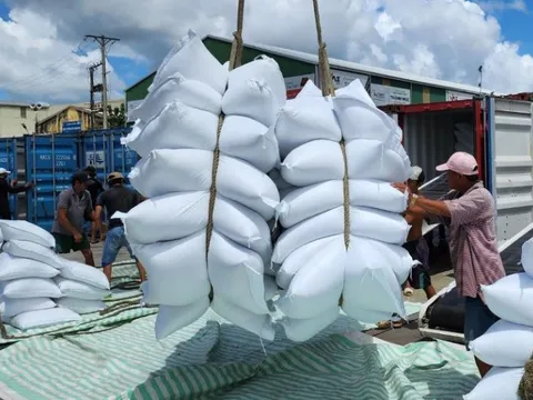 Việt Nam duy trì vị trí đối tác xuất khẩu gạo lớn thứ 3 tại thị trường Singapore