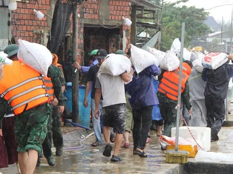 CLIP: 48 giờ lấy sức người chống thế nước, cứu kè biển An Lương