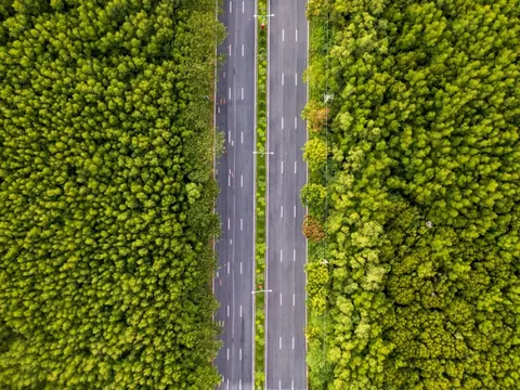 Sở Xây dựng TP.HCM: Phấn đấu cuối năm khởi công metro đi Cần Giờ