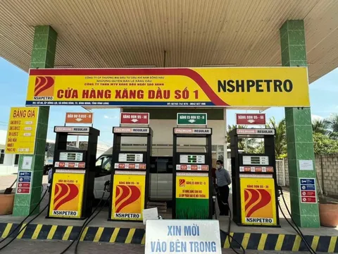 Vì sao Phó tổng giám đốc Công ty Dầu khí Nam Sông Hậu bị bắt?