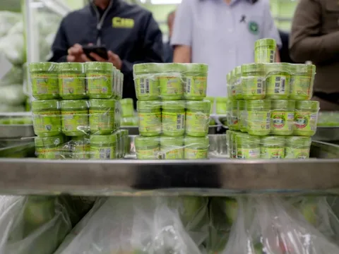 Danh sách 9 loại hít mũi thảo dược Hong Thai sản xuất chui; 2,35 triệu sản phẩm bị thu giữ