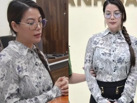 Diễn viên Trương Ngọc Ánh bị bắt vì tội gì?