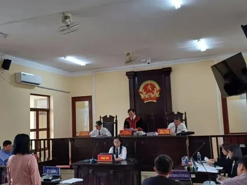 Vụ nữ ‘đại gia’ thủy sản bị cáo buộc hủy hoại tài sản: Nữ đại gia bật khóc nói lời sau cùng