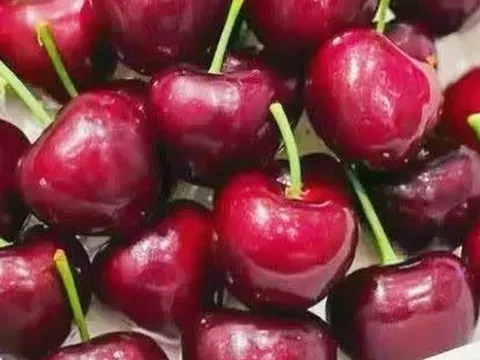 4 loại quả dễ bị tiêm thuốc kích thích, cần cẩn trọng khi chọn mua