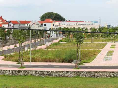 HoREA đề xuất nâng mức xử phạt với người bỏ cọc đất đấu giá