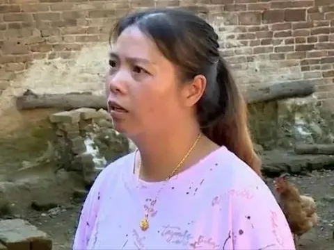 Cha mất để lại căn nhà 5,1 tỷ đồng cho người giúp việc, 2 con “trắng tay” kiện đòi thừa kế, tòa tuyên bố: “Di chúc ghi tên ai người ấy hưởng”