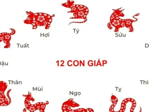 2 con giáp sắp lội ngược dòng viên mãn, tiền bạc đủ đầy, 1 con giáp lại cần thận trọng