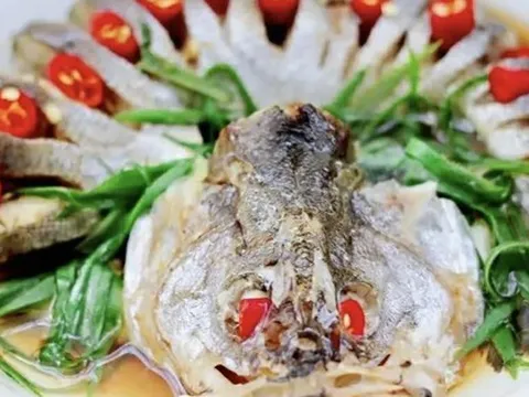 Loại cá này đang rẻ và ngon nhất: Ghim ngay 4 công thức nấu để món ăn vừa mềm mướt, ngọt và không bị tanh