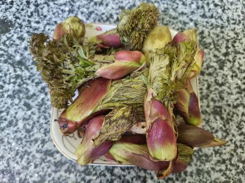 Loại rau người Trung Quốc ví là “cao lương mỹ vị số 1 thế giới”: Mọc hoang đầy Việt Nam, ít người biết