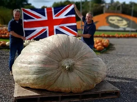 Cặp sinh đôi người Anh lập kỷ lục thế giới với quả bí ngô khổng lồ nhất từng thấy